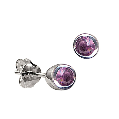 Sterling Silver ' February' Birthstone Earring