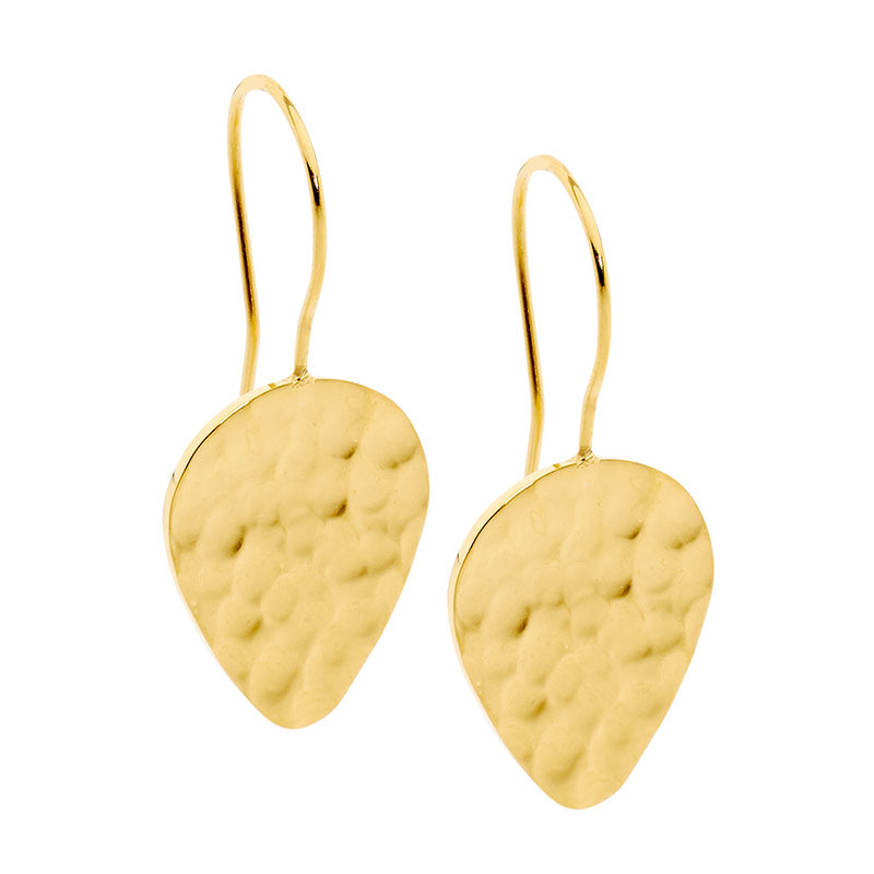 Stainless Steel Drop Earrings | Gold IP Plating